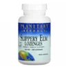 Planetary Herbals Slippery Elm Lozenges Tangerine 200 Count Bottle